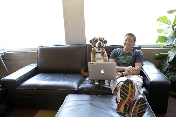 A man sits on the couch next to a medium size dog while holding a laptop in front of the dog like the dog is writing code A man sits on the couch next to a medium size dog while holding a laptop in front of the dog like the dog is writing code